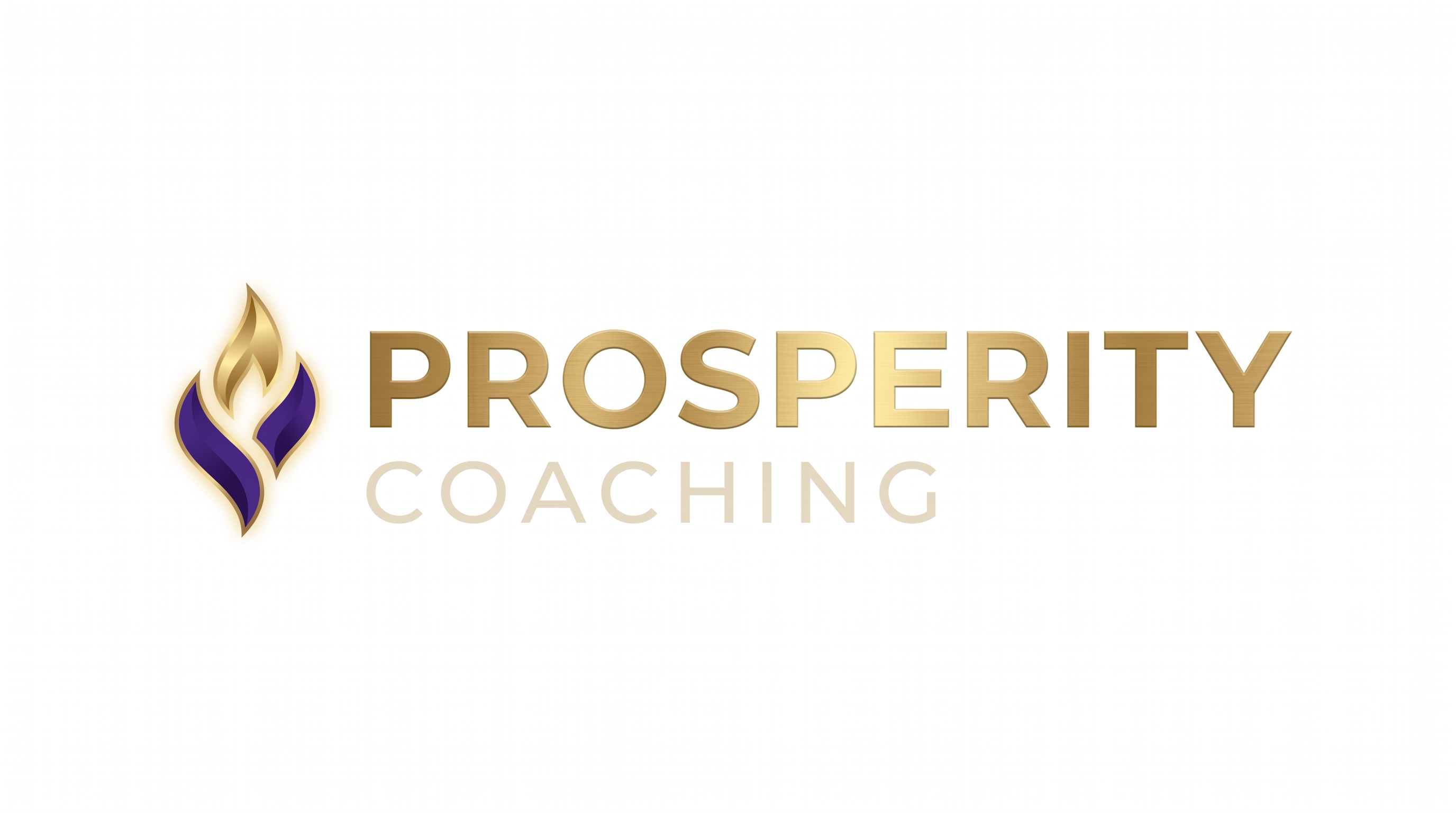 Prosperity Coaching